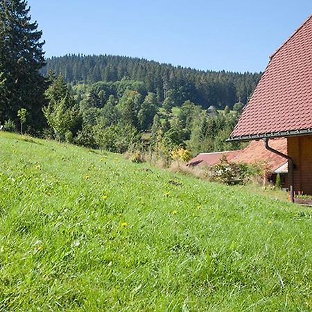 Ferienhaus Esche 欣特察尔滕 外观 照片