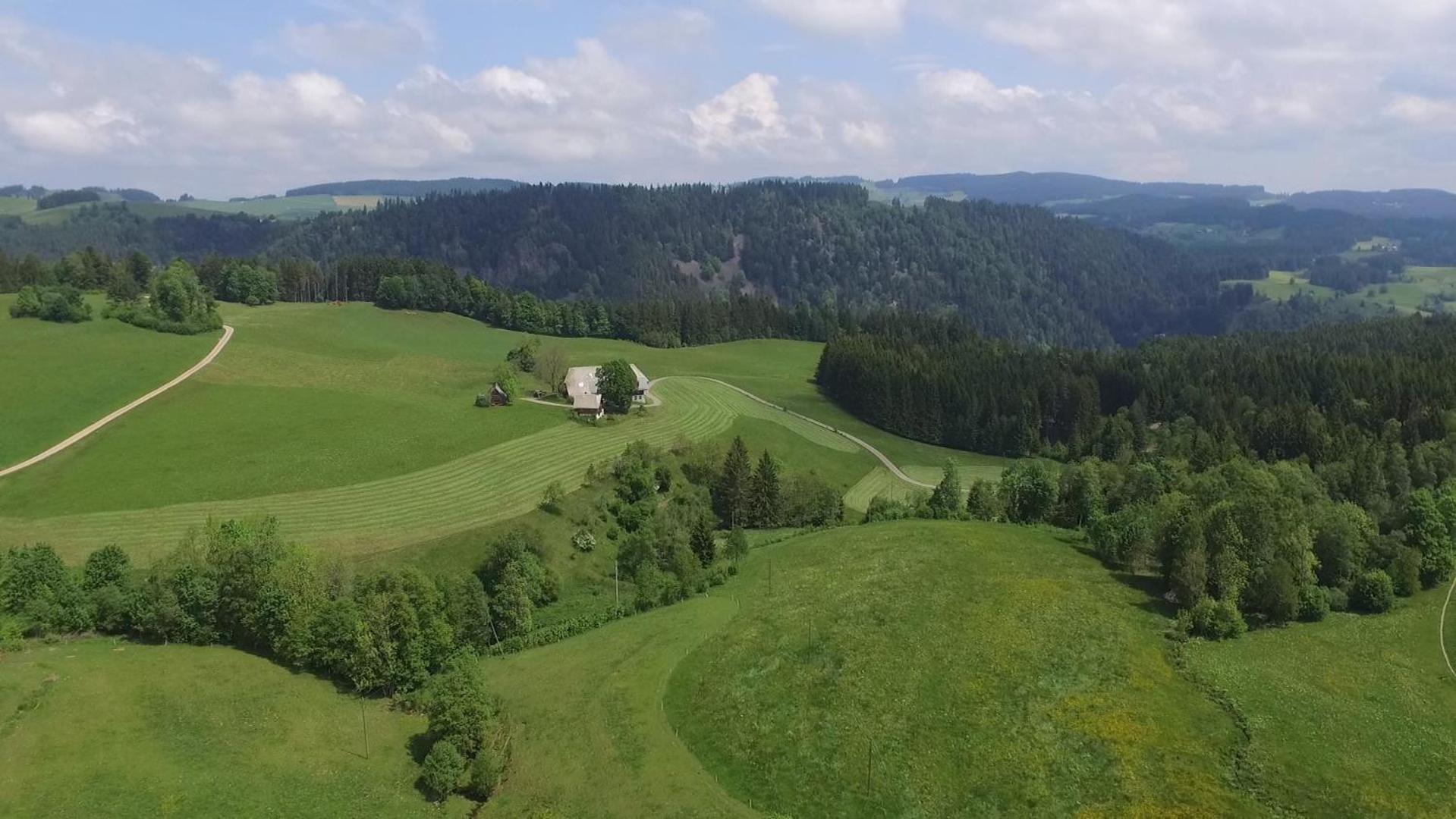 Ferienhaus Esche 欣特察尔滕 外观 照片