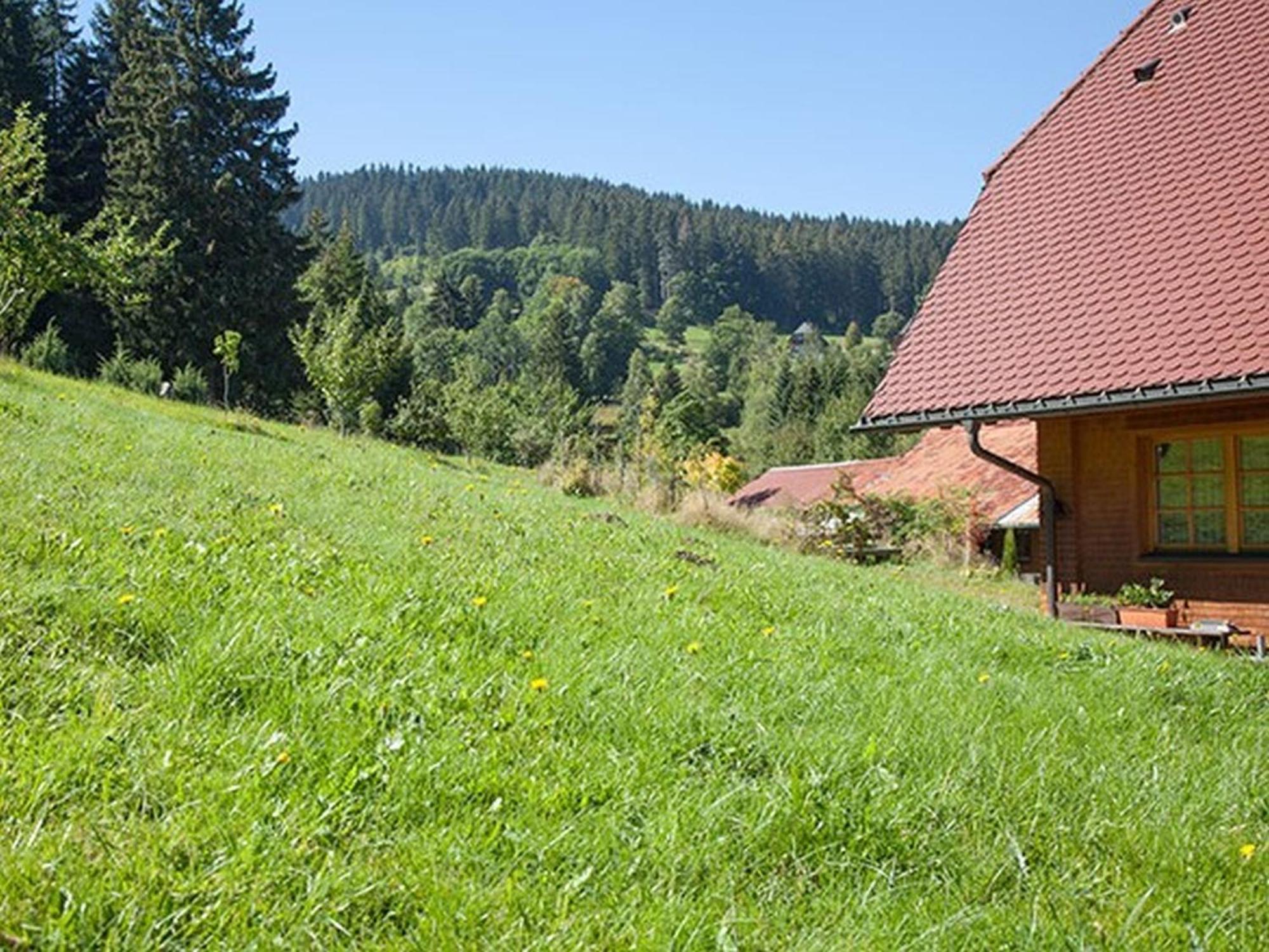 Ferienhaus Esche 欣特察尔滕 外观 照片