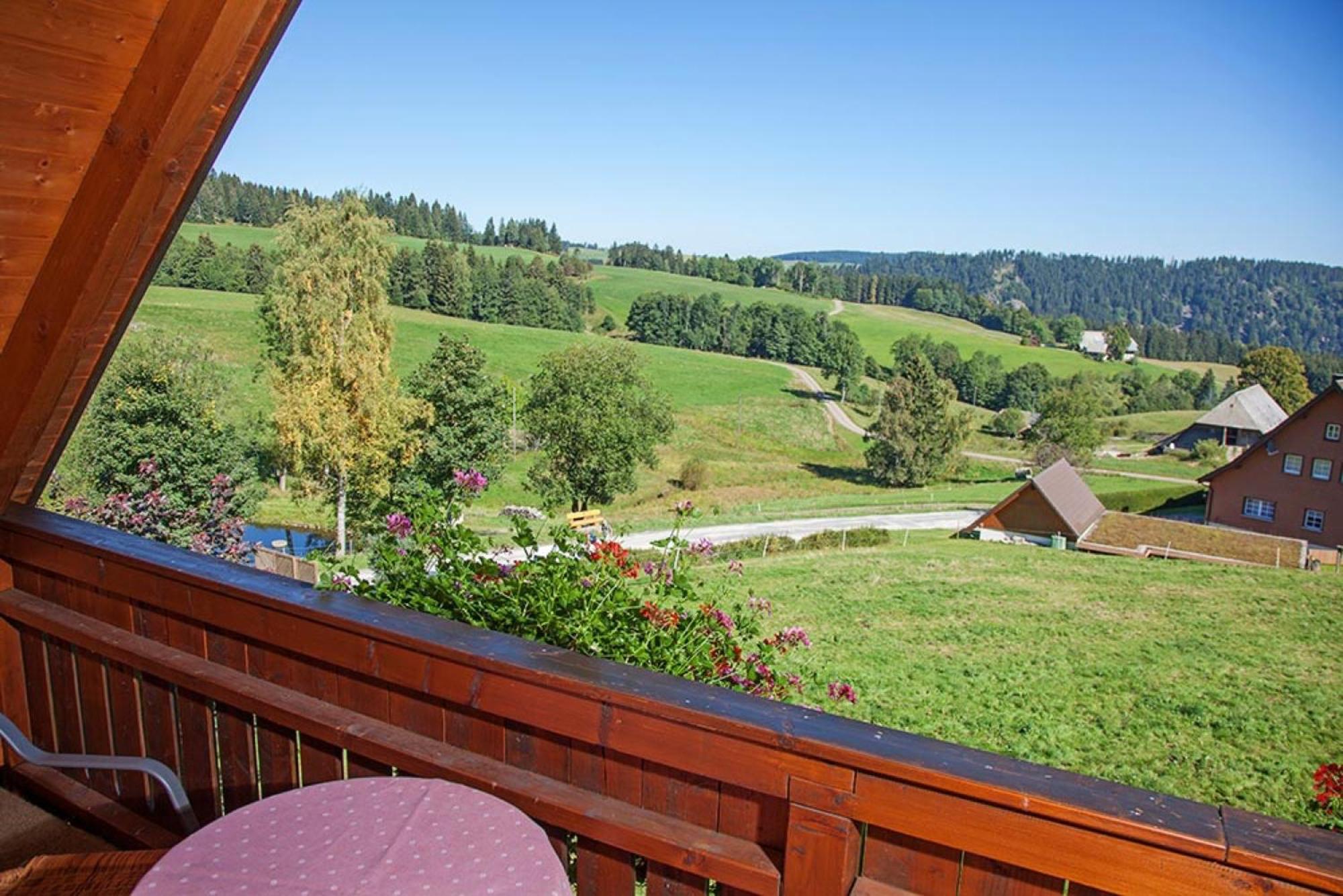 Ferienhaus Esche 欣特察尔滕 外观 照片