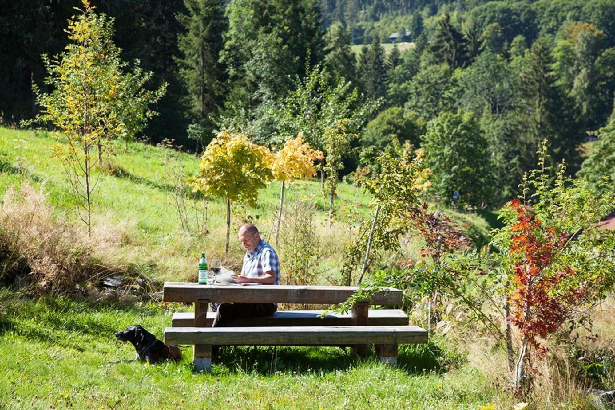 Ferienhaus Esche 欣特察尔滕 外观 照片